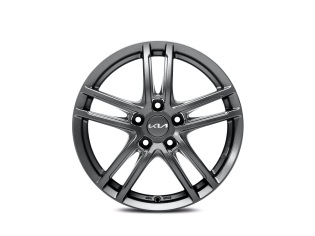 Set winterwielen 17 inch met TPMS en Goodyear winterbanden