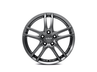 Set winterwielen 17 inch lichtmetaal met TPMS en Michelin winterbanden