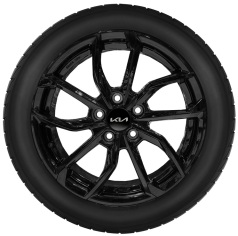 Set winterwielen 17 inch lichtmetaal met TPMS en Bridgestone winterbanden