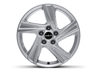 Lichtmetalen velgenset 17 inch Muju zilver