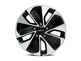 Lichtmetalen velgenset 16 inch bi-color