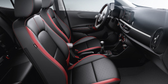 Premium lederen bekleding