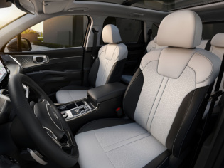 Exclusive leder (volledig leder)