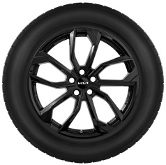 Set winterwielen 17 inch lichtmetaal incl. TPMS en Goodyear winterbanden