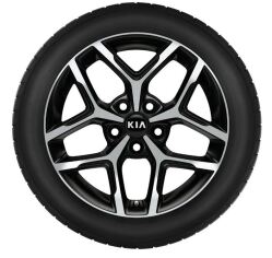Set winterwielen 17 inch lichtmetaal met TPMS en Yokohama winterbanden
