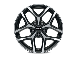Lichtmetalen velgenset 17 inch bi-color