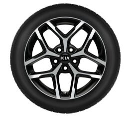 Set winterwielen 17 inch lichtmetaal Danbi bi-colour met TPMS en Pirelli winterbanden