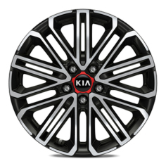 Set winterwielen 18 inch lichtmetaal Kimhae met TPMS en Pirelli winterbanden