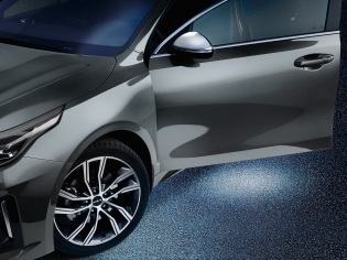 LED in-en uitstapverlichting kleur wit