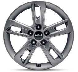 Lichtmetalen velgenset 17 inch AMSA grafiet