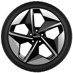 Set winterwielen 19 inch lichtmetaal met TPMS en Pirelli winterbanden