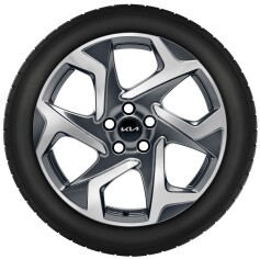 Set winterwielen 19 inch lichtmetaal met TPMS en Pirelli winterbanden