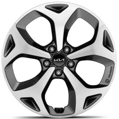 Lichtmetalen velgenset 19 inch Iksan bi-colour