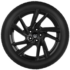 Set winterwielen 19 inch lichtmetaal hoogglans zwart met TPMS en Goodyear winterbanden