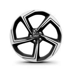 Lichtmetalen velgenset 21 inch Haenam, zonder banden