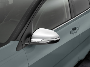 Spiegelkappen RVS hoogglans gepolijst