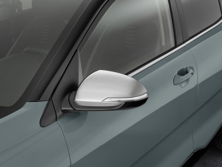 Spiegelkappen RVS geborsteld