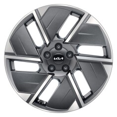 Lichtmetalen velgenset 19 inch, GAORI Bi-Colour, zonder banden