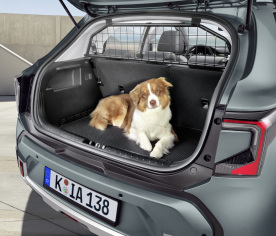 Bagage afscheidingsrek bovenzijde