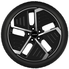 Set winterwielen 19 inch lichtmetaal met TPMS en Goodyear winterbanden