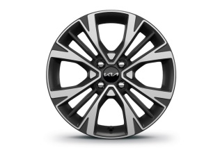 Lichtmetalen velgenset 16 inch Sang bi-color