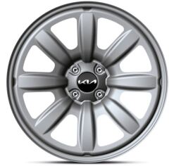 Set winterwielen 17 inch Design stalenvelg met Maxxis winterbanden