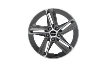 Lichtmetalen velgenset 18 inch Gasan bi-color