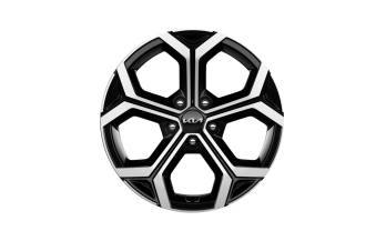 Lichtmetalen velgenset 18 inch Buan bi-color