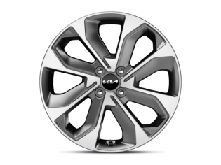 Set winterwielen 17 inch lichtmetaal en Hankook winterbanden