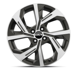 Lichtmetalen velgenset 17 inch Andong met Goodyear zomerbanden