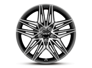 Lichtmetalen velg 19 inch GT achterzijde
