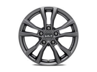 Set winterwielen 16 inch Anyang antraciet en Goodyear winterbanden (zonder TPMS)