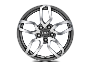 Lichtmetalen velgenset 17 inch Goyang bi-color