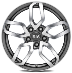 Set winterwielen 17 inch lichtmetaal Ulsan bi-colour met TPMS en Goodyear winterbanden