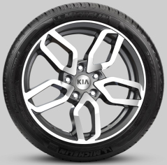 Lichtmetalen velgenset 17 inch Goyang bi-colour met TPMS en Michelin zomerbanden