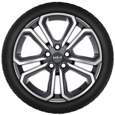 Set winterwielen 18 inch lichtmetaal bi-colour met TPMS en Pirelli winterbanden