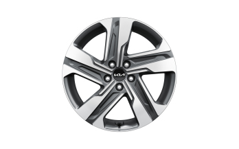 Set winterwielen 19 inch lichtmetaal Yongin bi-colour en TPMS met Pirelli winterbanden