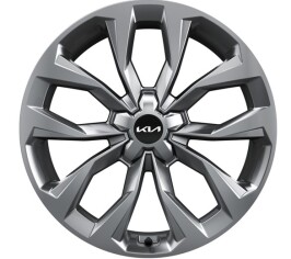 Lichtmetalen velgenset 20 inch Guri zilver met TPMS en Hankook zomerbanden